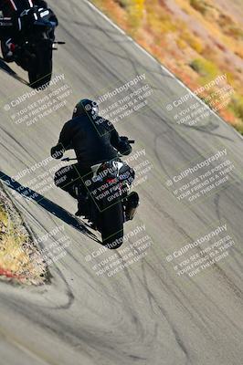 media/Oct-24-2025-2WTD (Fri) [[491f36c2bf]]/C Group/Session 3 (Turn 5)/